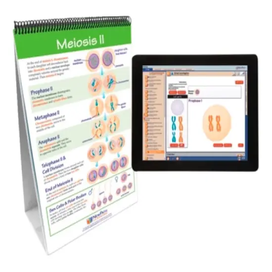 NewPath Learning Meiosis: Creating Sex Cells Flip Chart and Online Multimedia Lesson image {1}