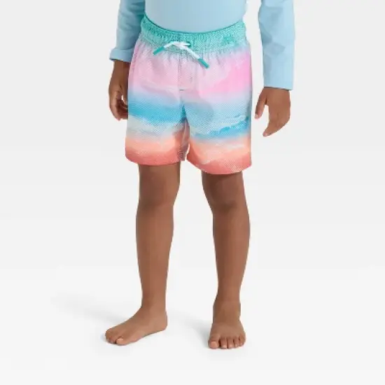 Toddler Boys' Scenic Beach Swim Shorts - Cat & Jack&trade; Pink/Blue image {3}