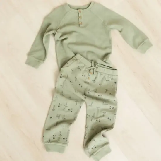 Grayson Collective Baby Boys' Ponte Henley Top & Jogger Pants Set - Olive Green image {5}