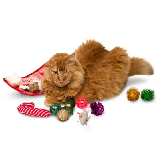 Midlee Christmas Stocking Cat Toy Gift Set (14 Toys) image {4}