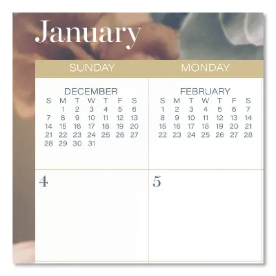 Mead Products Midnight Garden Monthly Wall Calendar 12-Month January 2026 to December 2026 Floral Artwork 15 x 12 image {3}