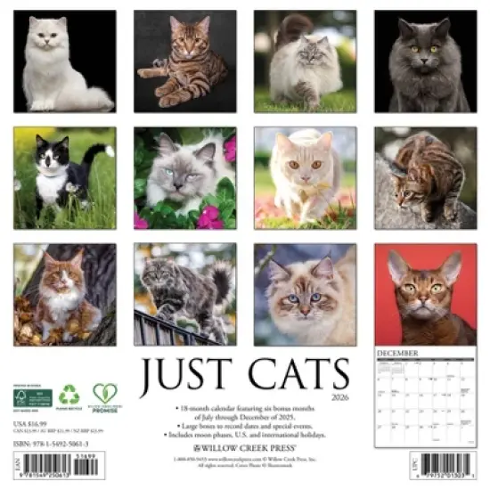 Willow Creek Press 2026 Cats Wall Calendar image {1}