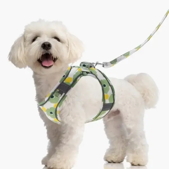 Unique Bargains Dog Harness and Leash with Reflective Strip Medium Green 1 Set image {5}