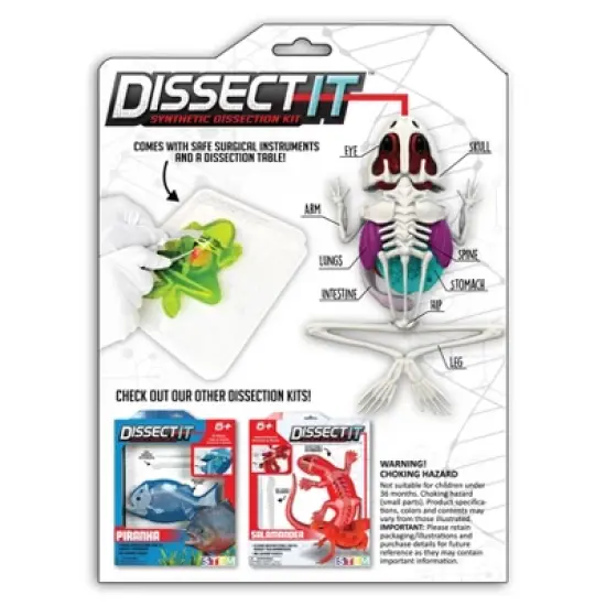 Top Secret Toys Dissect It - Frog Nature Exploration Toy image {10}