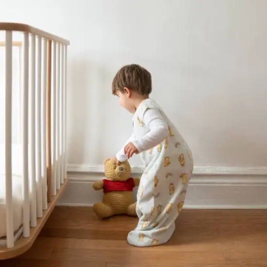 HALO Innovations Microfleece Sleepsack Wearable Blanket - Sunshine Winnie image {3}