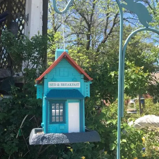 North States Bed and Breakfast Hopper Bird Feeder 14" Turquoise Blue image {7}