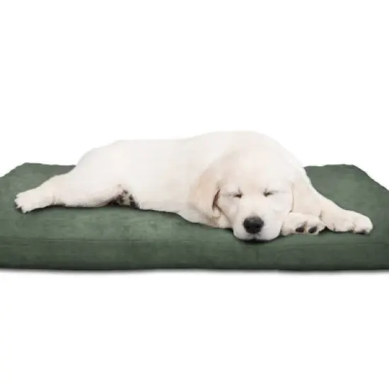 Petmaker 3" Foam Dog Bed - 25.5"x19" - Forest image {2}