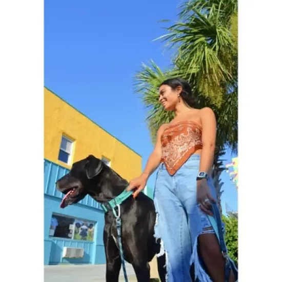 Black Rhino Dog Leash 5ft Ultra-Soft Neoprene Handle & Reflective Carabiner - Aqua image {1}