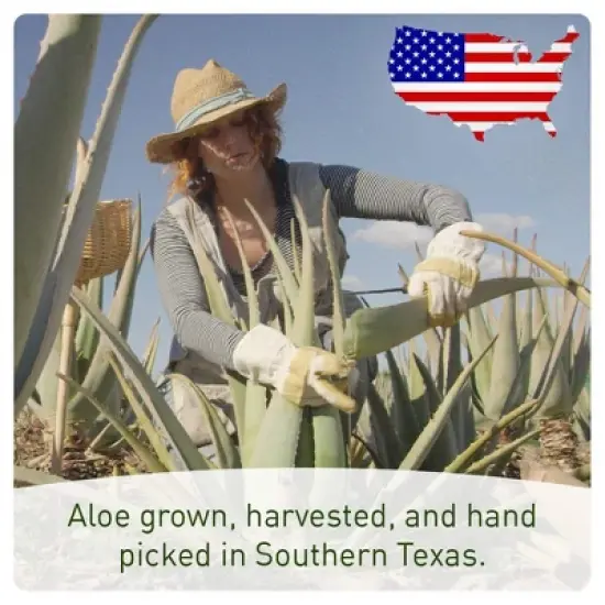 Seven Minerals, Organic Aloe Vera Spray for Body & Hair - From Freshly Cut Aloe Plant, Extra Strong, Easy to Apply, - Made in USA (Big 12 fl oz) image {3}