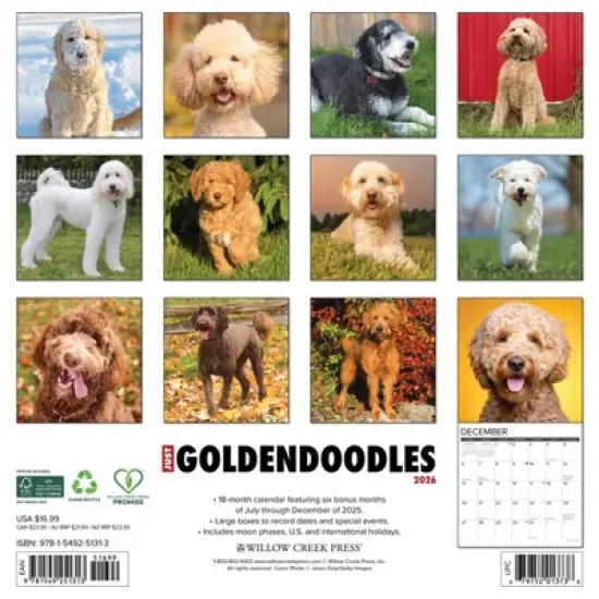 Willow Creek Press 12"x12" 2026 Goldendoodles Wall Calendar image {1}