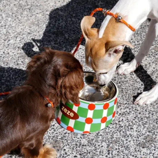 ZEZE Pet Metal Bowl image {2}