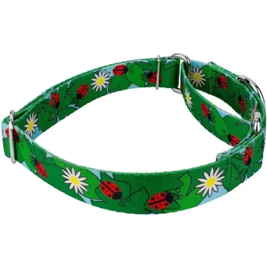 Country Brook Petz - Ladybug Picnic Martingale Dog Collar image {2}