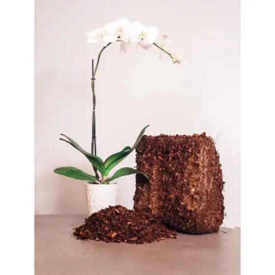 Envelor 10 lb. Coco Coir Husk Chips 2-Pack &ndash; 2.4 Cu. Ft. Compressed Coconut Coir Bricks image {3}