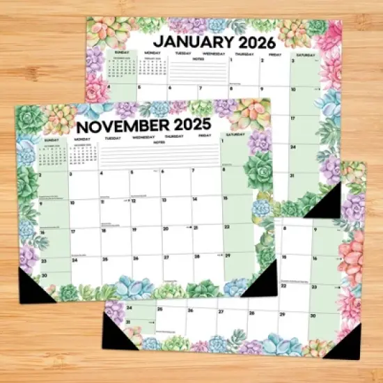 Willow Creek Press Succulents Academic July 2025 - June 2026 22"x17" Large Monthly Deskpad Calendar image {1}