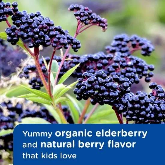 Mommy's Bliss Children's Pain & Fever Acetaminophen - 4 fl oz image {9}