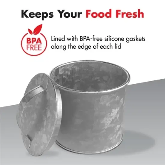 Amici Home Newport Collection Galvanized Metal Storage Canister, Food Safe image {2}