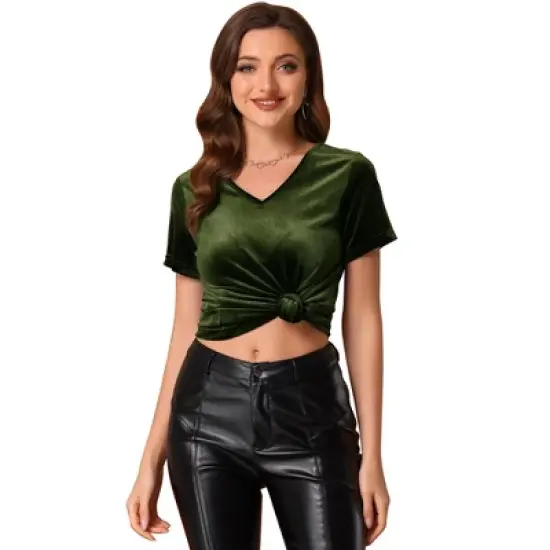 Allegra K Women's Baisc V Neck Velvet Short Sleeve T-Shirt image {8}