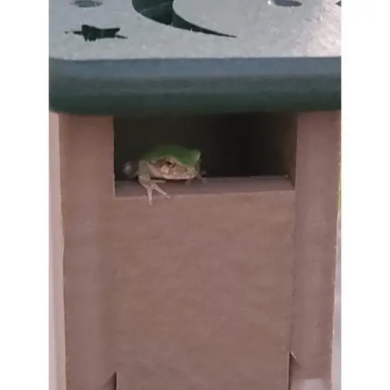 JCS Wildlife Deluxe Poly Lumber Tree Frog House image {6}