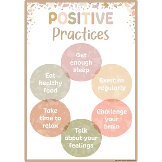 Teacher Created Resources&reg; Terrazzo Tones Positive Practices Small Poster Pack, Pack of 12 image {12}