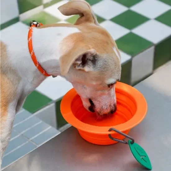 ZEZE Collapsible Silicone Dog Bowl image {7}