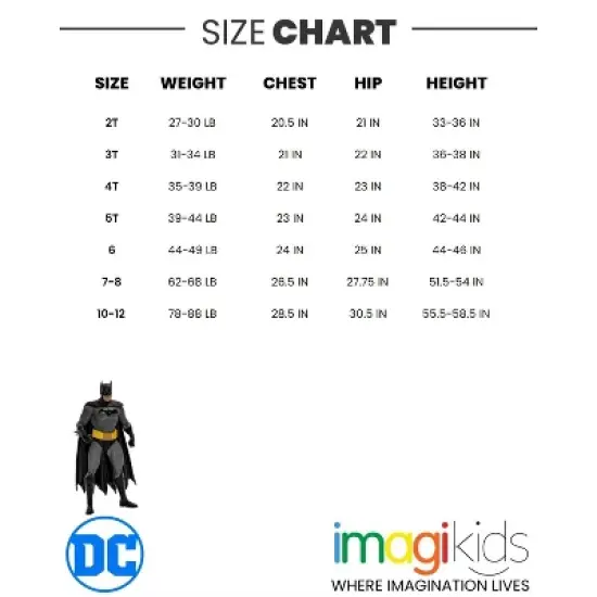 DC Comics Birthday T-Shirt Toddler image {3}