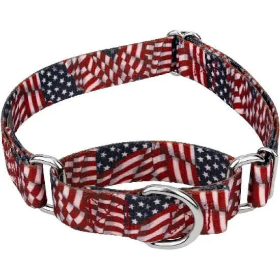 Country Brook Petz Patriotic Tribute Martingale Dog Collar image {9}