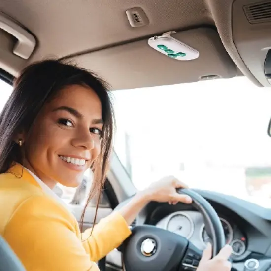 The Peanutshell Musical Mirror - Woodland image {2}