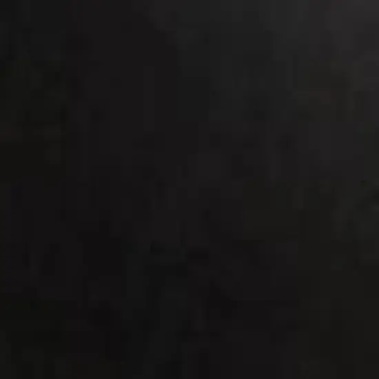 Capezio Women's Leather Pirouette II image {2}