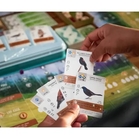 Stonemaier Wingspan with Swift Start Game Pack image {3}