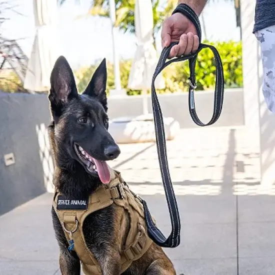 Shed Defender 5 ft. Standard Dog Leash - Three Padded Traffic Handles - Dual Layered Thickness image {2}