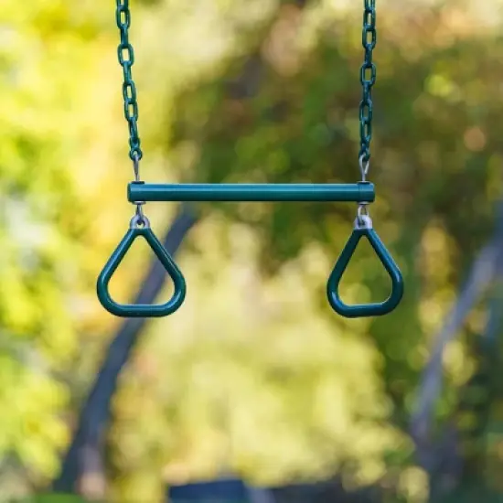 Lifetime Playset 10' Swing Set - Earthtone image {5}
