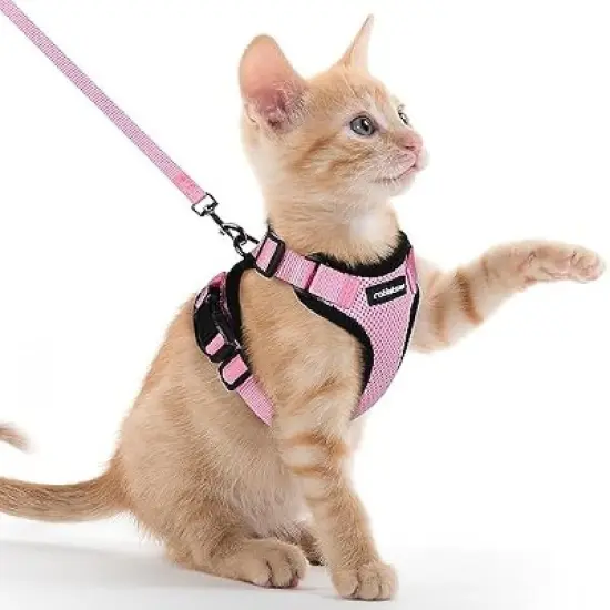 rabbitgoo Cat Harness and Leash for Walking image {5}
