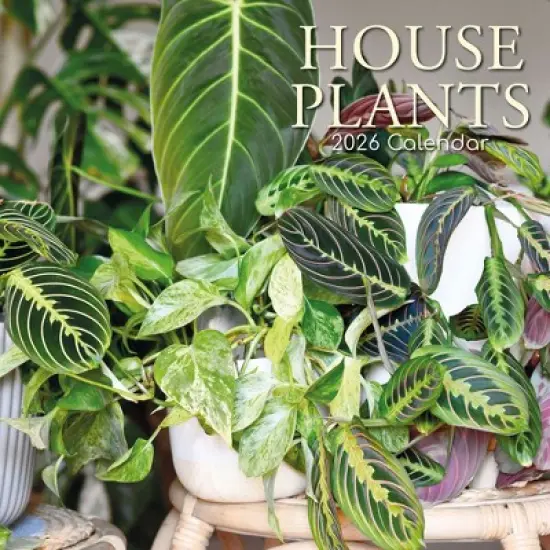 2026 Square Wall Calendar, House Plants, 16-Month Floral Theme with 180 Reminder Stickers (12x12 In) image {4}