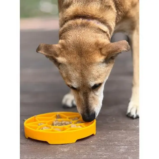 Sunflower Design eTray Enrichment Shallow Slow Feeder Dog Bowl image {7}