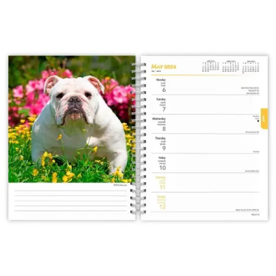 Browntrout 23-2024 Weekly/Monthly Planner 7.5"x7.125" Bulldogs image {2}