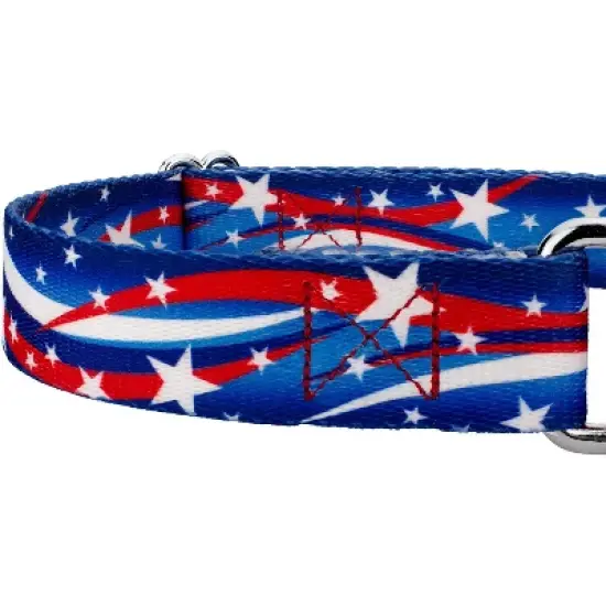 Country Brook Petz - Star Spangled Martingale Dog Collar image {3}