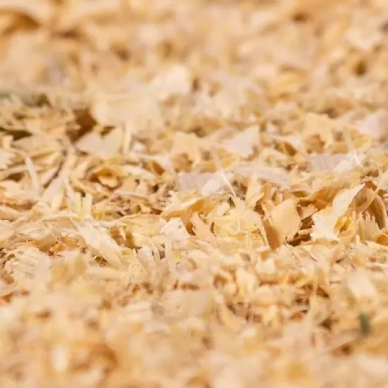 PetsPick Kiln Dried Soft Pine Bedding For Small Pets image {1}