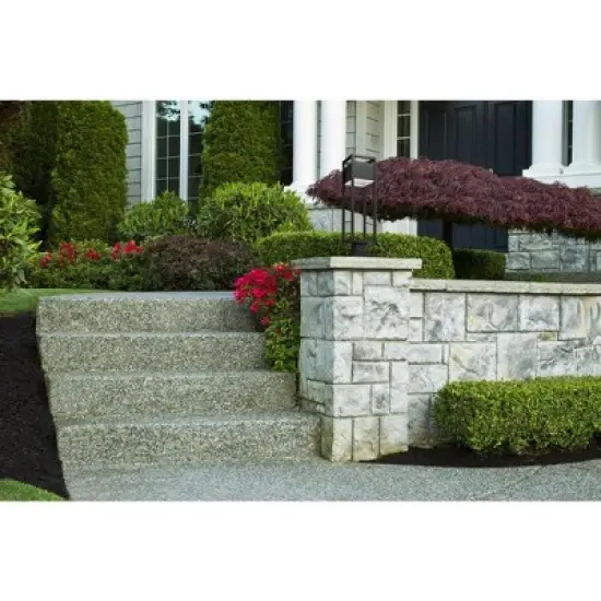 Z-Lite Barwick 1 - Light Lantern in  Black image {2}