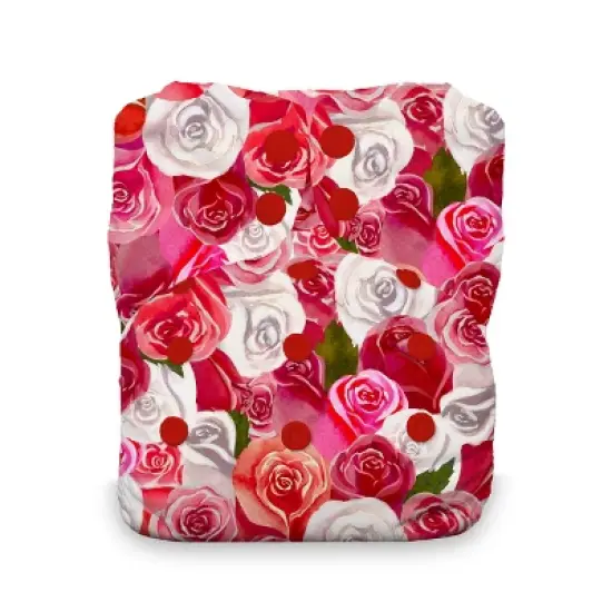 Thirsties | Natural One-Size All-in-One Snap Cloth Diaper Pack of 1 image {12}