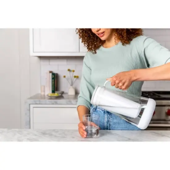 LifeStraw Home Activated Carbon + Ion Exchange Replacement Filter image {3}