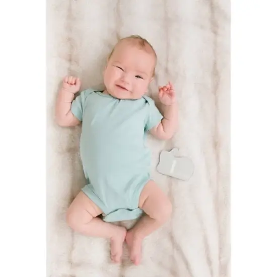 Pearhead Milestone Puzzle image {4}