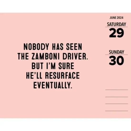 Willow Creek Press 2024 Daily Desk Calendar 5.2"x6.2" Pun Intended image {2}