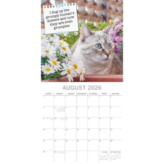 2026 Square Wall Calendar, Cats & Dogs, 16-Month Animals Theme with 180 Reminder Stickers (12x12 In) image {2}