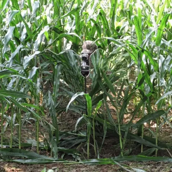 GhostBlind Predator Blind, Pop-Up Mirror Ground Hunting Blind image {4}