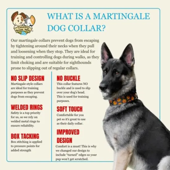 Country Brook Petz HossFit Jr Wide Martingale Dog Collar - Halloween Collection image {3}