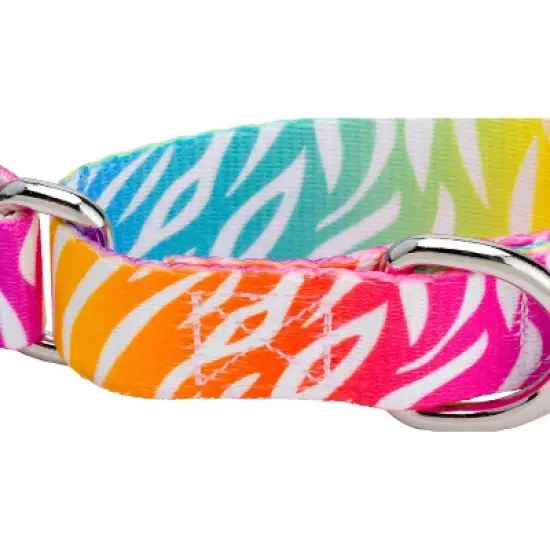 Country Brook Petz Martingale Dog Collar - Animal Prints Collection image {4}