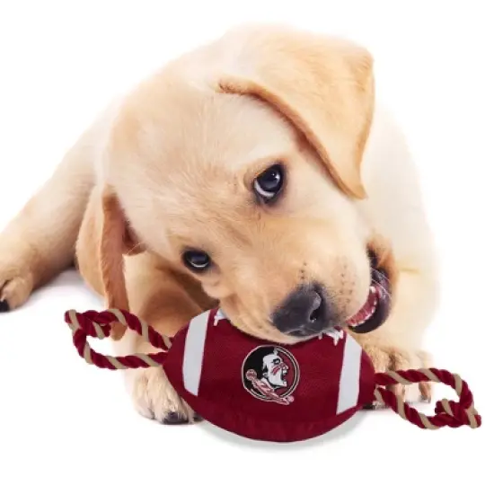 NCAA Florida State Seminoles Nylon Football Dog Toy image {3}