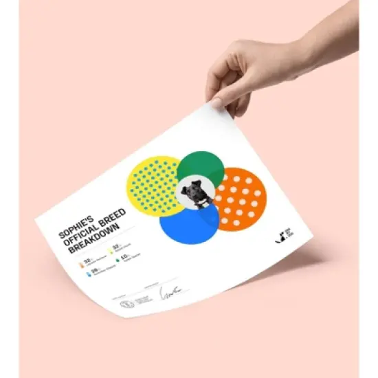 DNA My Dog Essential Dog Breed ID Test Kit image {4}