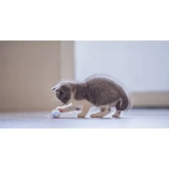 Pet Genius Smart Pet Play Ball image {2}