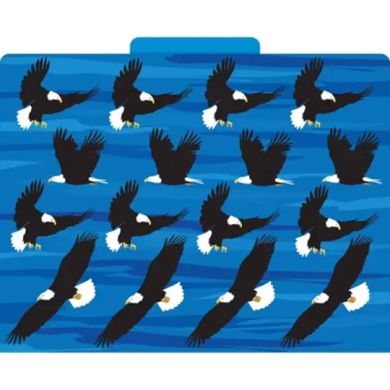 Barker Creek 24ct File Folders - Sea & Sky: Cardstock, Multicolor, Top Tab, Stationery Organizer, 100 Sheet Capacity image {3}